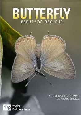 Butterfly Beauty Of Jabalpur