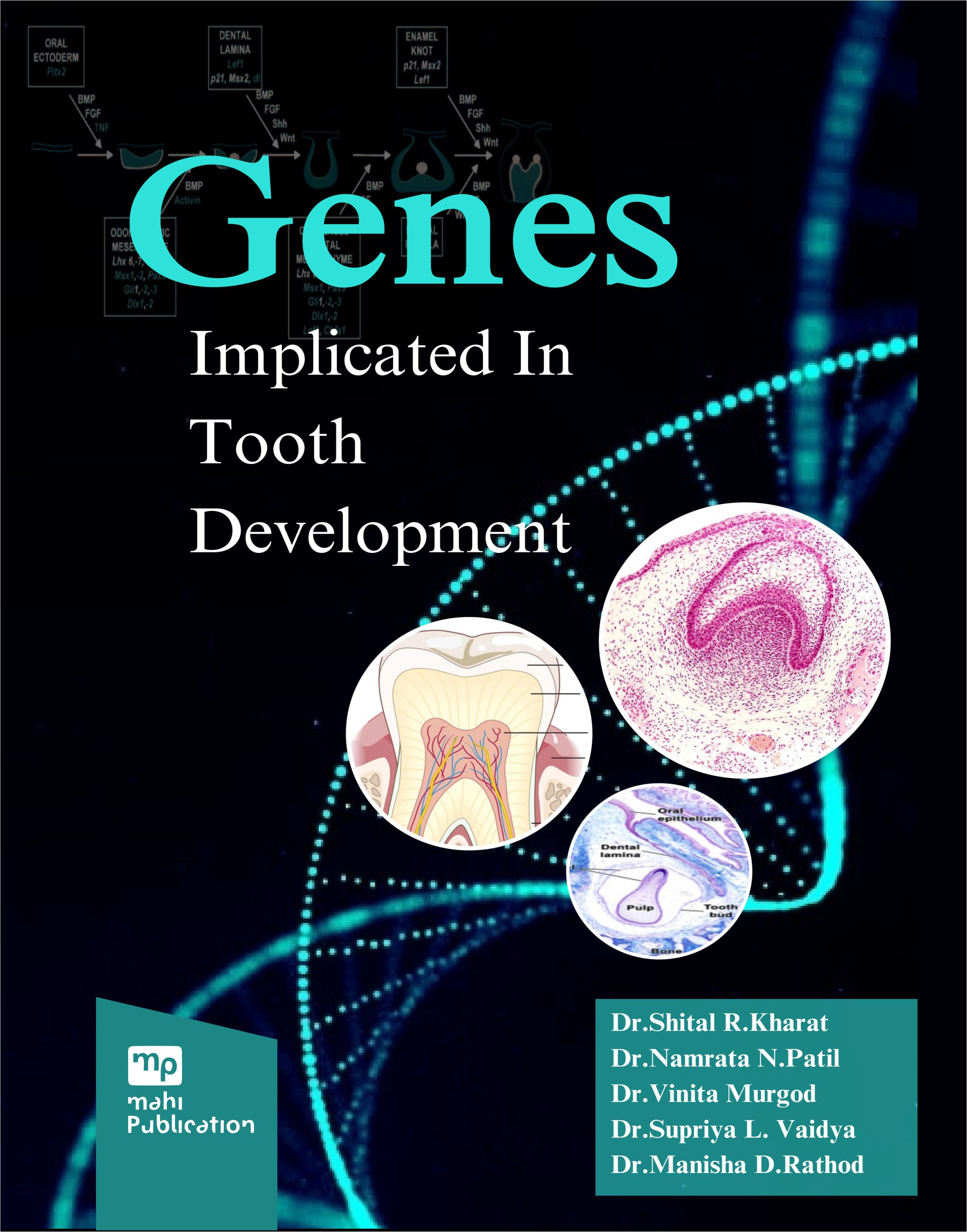 Genes Implicated In Tooth Development