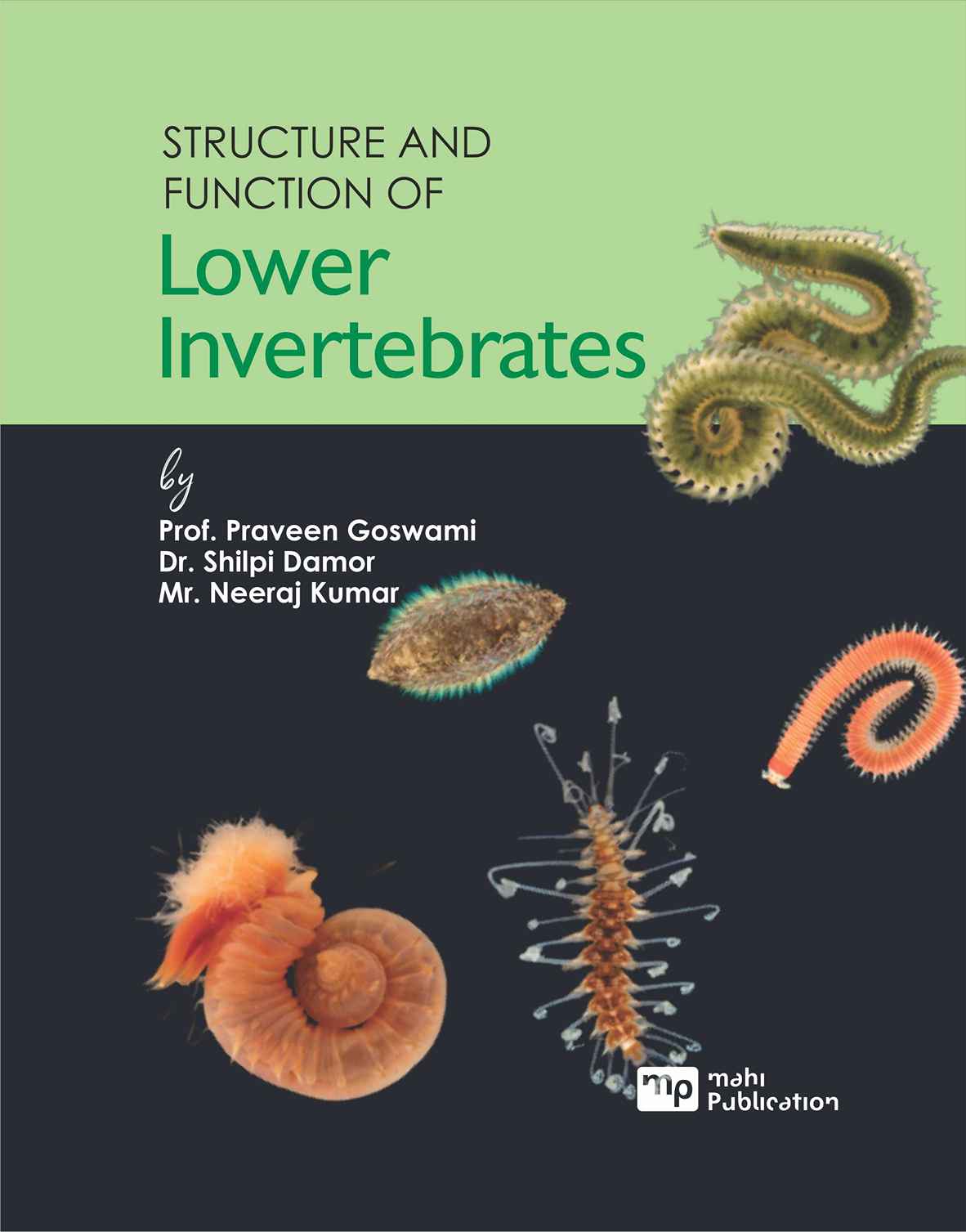 Structure and Function of Lower Invertebrates